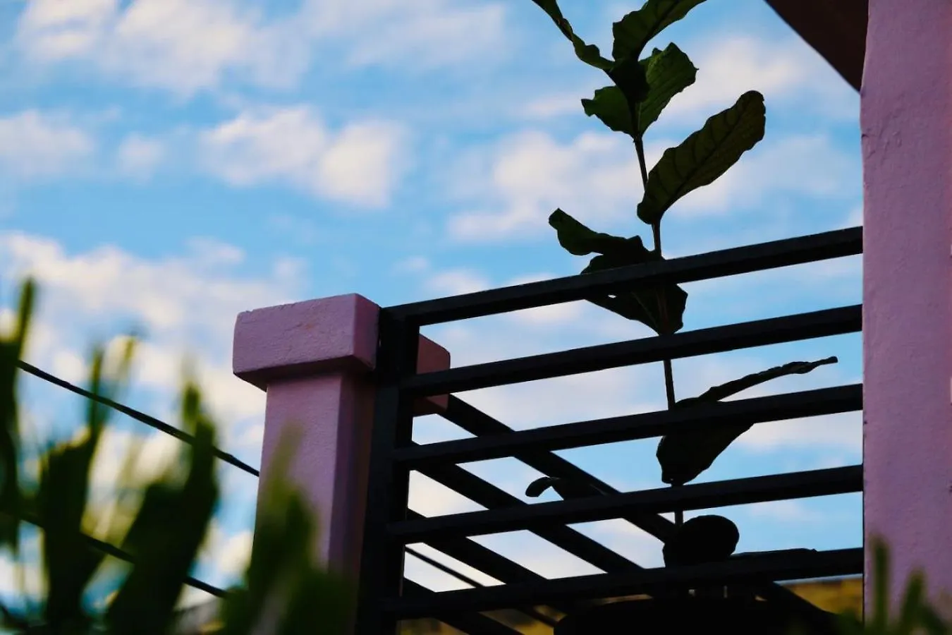 Room 12 Sunlit Balcony Stay Near Calle Cerra San Juan